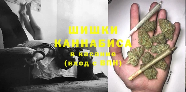 винт Майский
