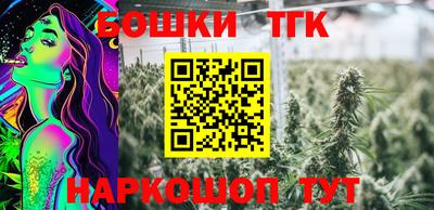 МДПВ Краснознаменск