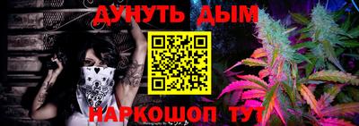 спиды Гатчина