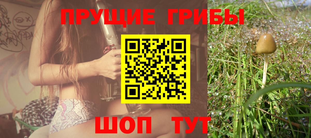 Мефедрон Кингисепп