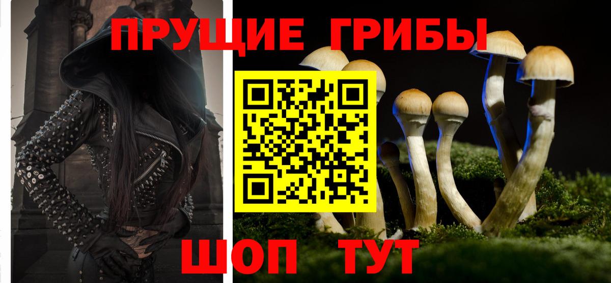 Галлюциногенные грибы MAGIC MUSHROOMS Кингисепп