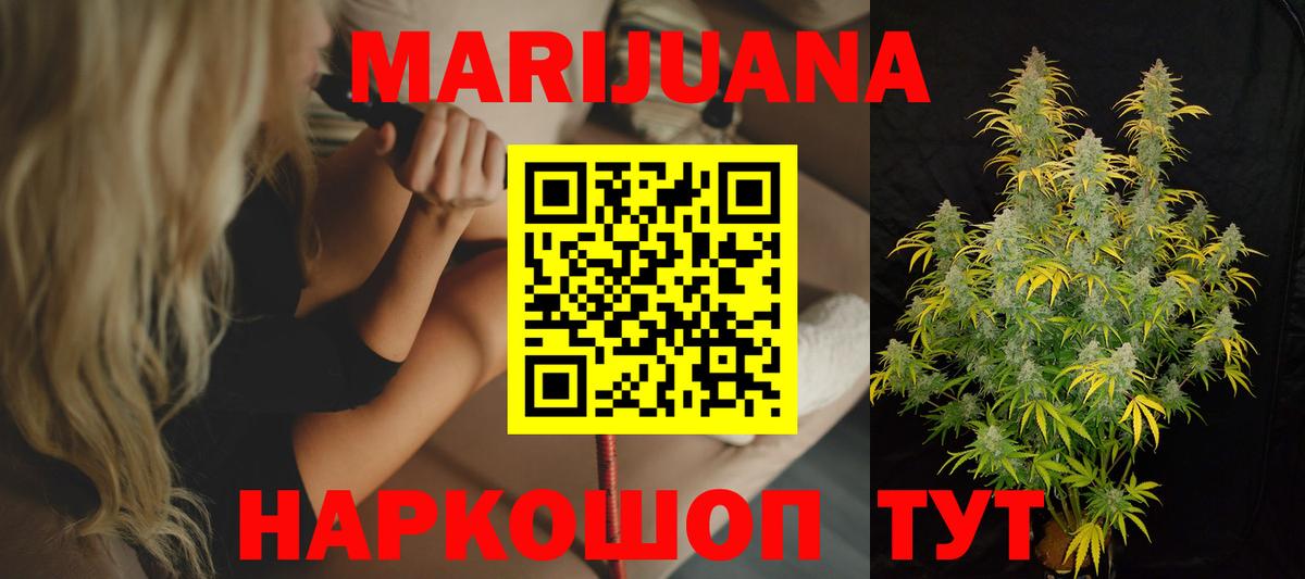 Канабис планчик Кингисепп